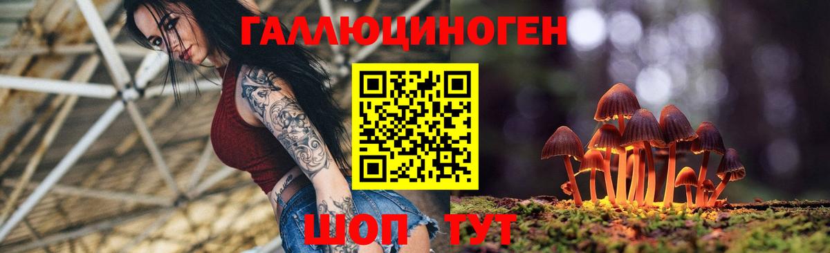 Псилоцибиновые грибы MAGIC MUSHROOMS Полевской